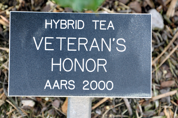 sign: Hybrid Tea Veteran's Honor